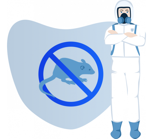 Дератизация в организациях общественного питания