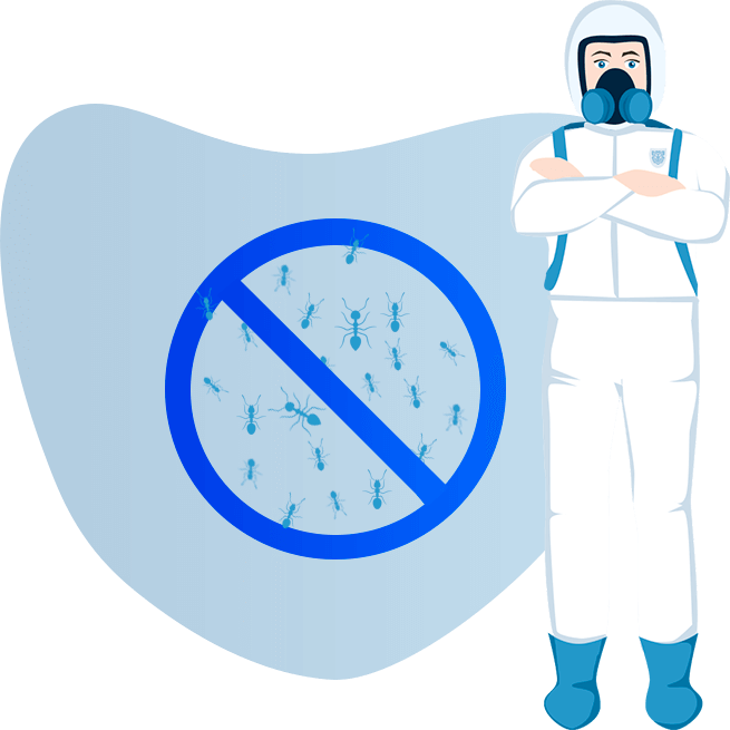 Уничтожение муравьев