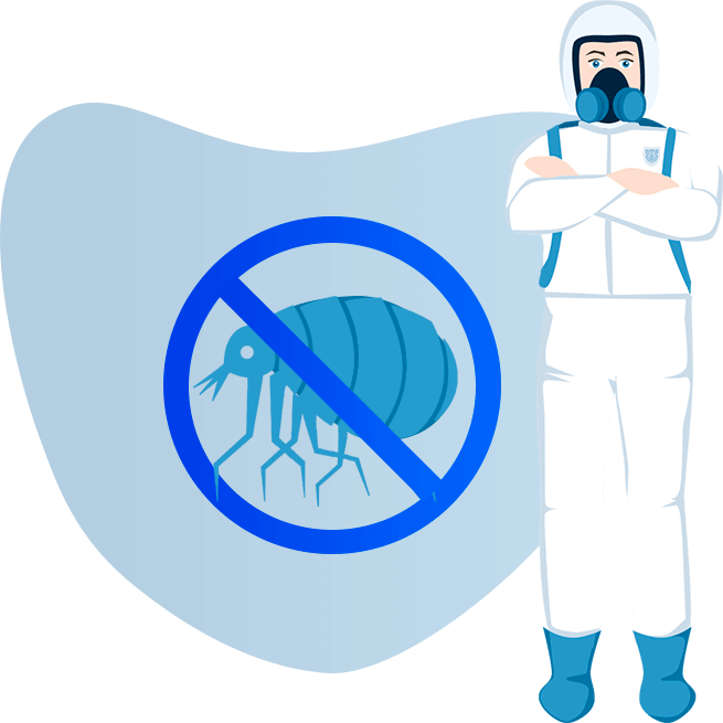 Уничтожение блох