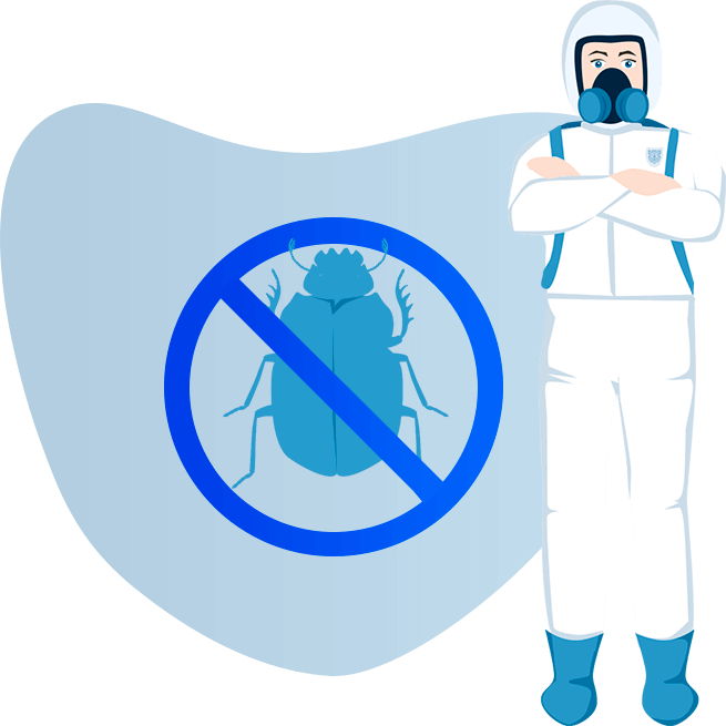 Уничтожение короеда