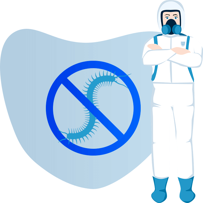 Уничтожение мокриц и чешуйниц