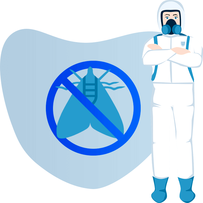 Уничтожение моли