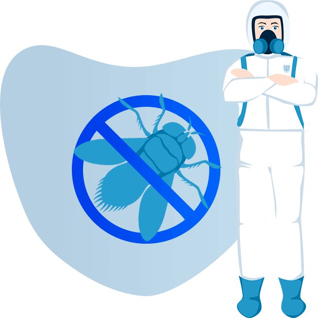 Уничтожение мух