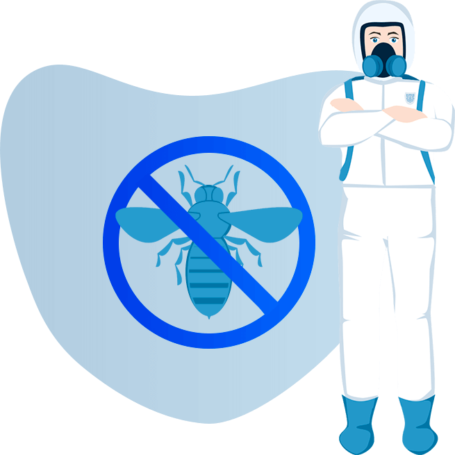 Уничтожение ос и осиных гнезд