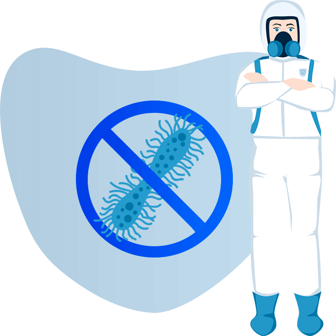 Уничтожение плесени и грибка