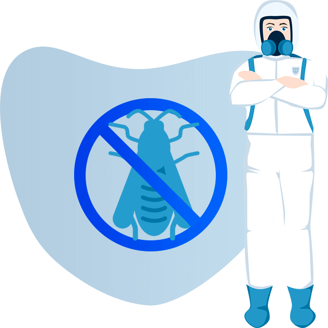 Уничтожение шершней