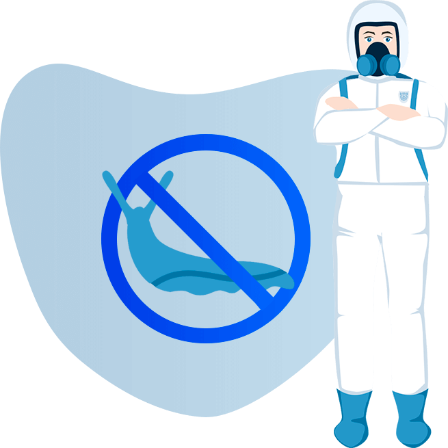 Уничтожение слизней