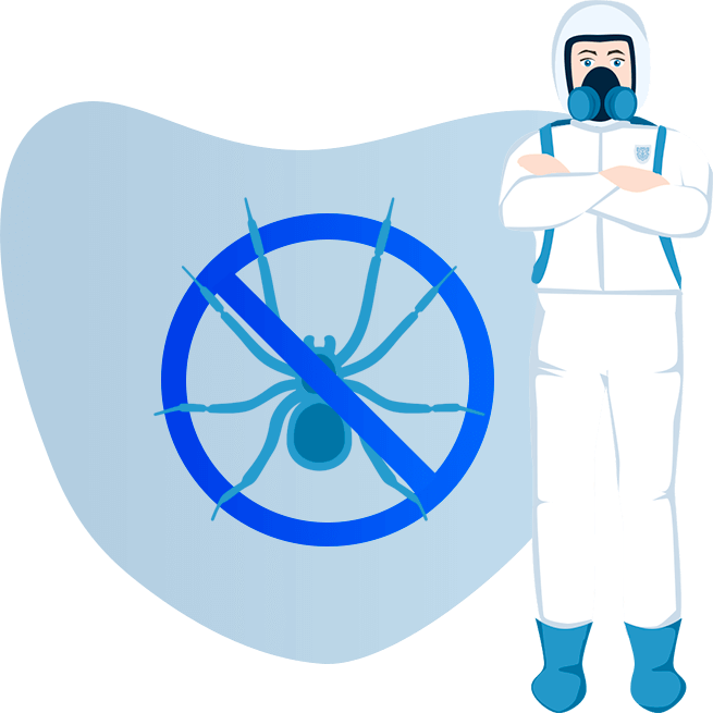 Уничтожение пауков